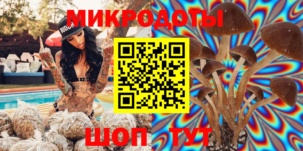 Псилоцибиновые грибы GOLDEN TEACHER  Псилоцибиновые грибы Psilocybe  цена наркотик  Великий Устюг  Вход с VPN 
